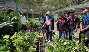 Kebun Bibit Kampung Air Besar dan Demplot Kampung Firma, Distrik Fakfak Tengah. Akhir - Akhir ini menjadi tempat kunjungan yang menarik untuk melakukan penelitian karya ilmiah yang dilakukan oleh Tim KIR SMANSA Fakfak bersama kelompok pecinta alam sekolah SMA Negeri 1 Fakfak.