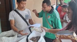 Kasie Pengawasan Komoditi Perkebunan, Dinas Perkebunan Fakfak, George Weruma, S.ST., membagikan Surat Edaran Pjs. Bupati Fakfak ke para pedagang pengumpul, pedagang besar, pedagang grosir, dan pedagang antar pulau dan melakukan inspeksi lapangan untuk memastikan bahwa ketentuan Surat Edaran Bupati berjalan dengan baik.