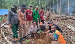 Kelompok Petani Temonggkwaha merasa terbantu dengan pendampingan dari YATEFA dan Dinas Perkebunan Fakfak dan optimis kebun kopi ini akan memberikan hasil yang baik di masa depan.