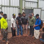 15 Pekebun asal Teluk Bintuni Kunjungan ke Global Spices Papua, pengolah pala berkualitas ekspor. Tujuan kunjungan ini guna memperluas wawasan belajar teknik budidaya yang benar agar produktivitas meningkat signifikan terutama komoditi lokal seperti Pala.