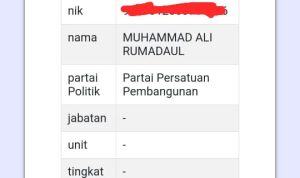 Hasil penelusuran melalui laman resmi KPU.