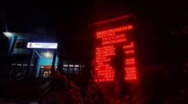 Harga Pala Awal tahun 2025 masih terpantau stabil