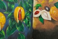 Pala Tomandin Fakfak, Komoditi Ekspor dari Fakfak siap bersaing di pasar global.