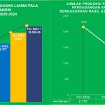 Diagram Luasan lahan Pala dan Capaian Produksi Pala tahun 2020 hingga 2024