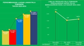 Diagram Luasan  lahan Pala dan Capaian Produksi Pala tahun 2020 hingga 2024