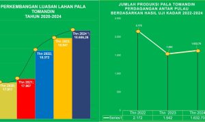 Diagram Luasan lahan Pala dan Capaian Produksi Pala tahun 2020 hingga 2024