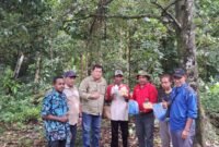 Plt. Kepala Dinas Perkebunan Fakfak, Widhi Asmoro Jati, ST, MT membagikan pupuk kepada pemilik kebun pada blok penghasil tinggi di 8 blok kebun yang dikelola Dinas Perkebunan Fakfak