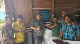 Plt. Kepala Dinas Perkebunan Fakfak, Widhi Asmoro Jati, ST, MT., didampingi perwakilan MPIG-PTF, Safi Yarkuran memberikan edukasi kepada pelaku usaha pala pemasangan pamflet berisi himbauan untuk menjaga mutu dan kualitas pala.