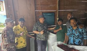 Plt. Kepala Dinas Perkebunan Fakfak, Widhi Asmoro Jati, ST, MT., didampingi perwakilan MPIG-PTF, Safi Yarkuran memberikan edukasi kepada pelaku usaha pala pemasangan pamflet berisi himbauan untuk menjaga mutu dan kualitas pala.