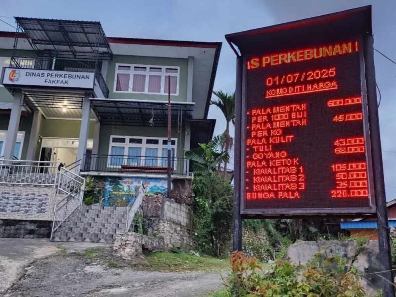 Harga Pala secara real time per 1 Juli 2025.