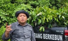 Pemkab Fakfak Resmi Buka Program Peminatan Pala Unggul 1.000 Hektare Tahun 2026, Ini Persyaratannya