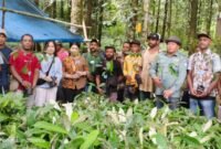 Plt. Kepala Dinas Perkebunan Fakfak, Widhi Asmoro Jati, ST, MT, hadir bersama Tim Gerakan Tanam Kebun (Gertak) dan tim BNI Fakfak untuk mendampingi proses penyerahan 1.400 bibit pala tomandin kepada Kelompok Tani Uhkanda Kampung Tetar.