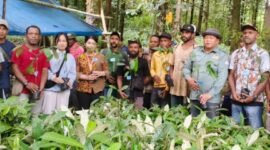 Plt. Kepala Dinas Perkebunan Fakfak, Widhi Asmoro Jati, ST, MT, hadir bersama Tim Gerakan Tanam Kebun (Gertak) dan tim BNI Fakfak untuk mendampingi proses penyerahan 1.400 bibit pala tomandin kepada Kelompok Tani Uhkanda Kampung Tetar.