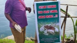 Foto. Pemasangan Himbauan masyarakat Fakfak untuk tidak mencabut atau memindahkan tanaman pelestarian yang telah ditanam di kawasan reklamasi Thumburuni.