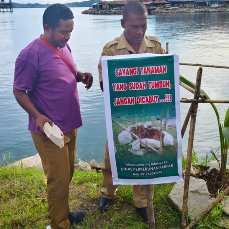 Foto. Pemasangan Himbauan masyarakat Fakfak untuk tidak mencabut atau memindahkan tanaman pelestarian yang telah ditanam di kawasan reklamasi Thumburuni.