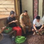 Foto. Zhang Jie, Direktur PT. Semesta Trading Internasional asal Tiongkok didampingi Plt. Kepala Dinas Perkebunan Fakfak Widhi Asmoro Jati, ST., MT., mengunjungi beberapa pelaku usaha pala Tomandin di kabupaten Fakfak.