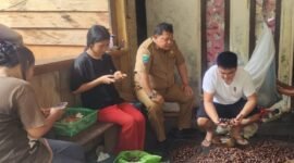 Foto. Zhang Jie, Direktur PT. Semesta Trading Internasional asal Tiongkok didampingi Plt. Kepala Dinas Perkebunan Fakfak Widhi Asmoro Jati, ST., MT., mengunjungi beberapa pelaku usaha pala Tomandin di kabupaten Fakfak. 
