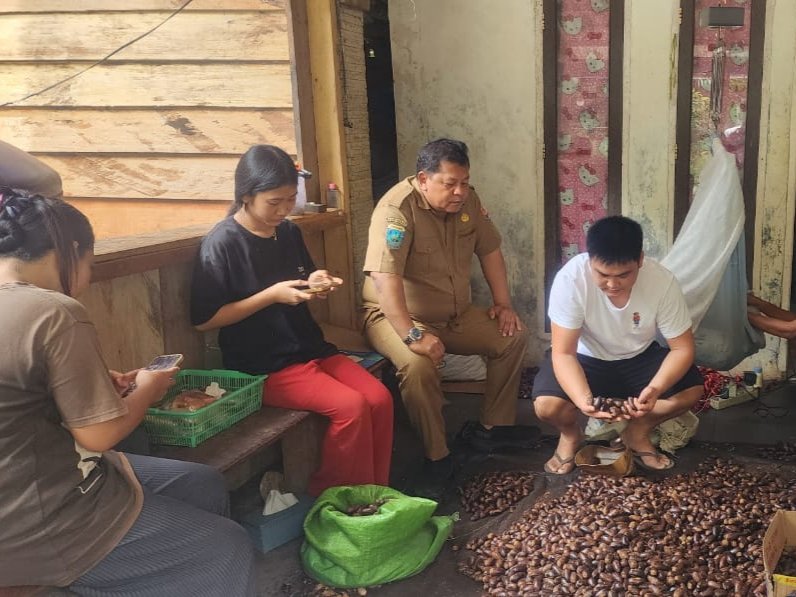 Foto. Zhang Jie, Direktur PT. Semesta Trading Internasional asal Tiongkok didampingi Plt. Kepala Dinas Perkebunan Fakfak Widhi Asmoro Jati, ST., MT., mengunjungi beberapa pelaku usaha pala Tomandin di kabupaten Fakfak. 