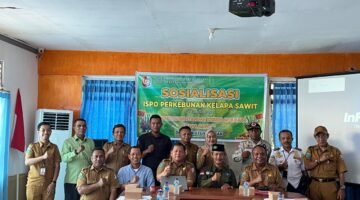 Pemda Fakfak Dorong Percepatan ISPO untuk Sawit Bomberay-Tomage Demi Keberlanjutan dan Peningkatan PAD