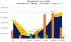 Akhir 2025, Pala Fakfak Tunjukkan Kinerja Gemilang: PAD Tembus Rp531,5 Juta, Produksi Naik 13,79 Persen