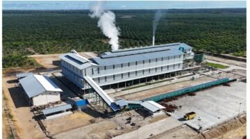 Perkebunan Sawit Bomberay-Tomage Capai Produksi Tinggi, Dinas Perkebunan Tekankan Pentingnya ISPO untuk Daya Saing Global