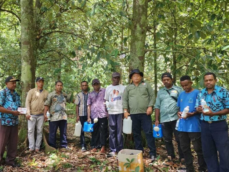 Kepala Dinas Perkebunan Fakfak Widhi Asmoro Jati bersama para pekebun dalam upaya pembenahan Blok Penghasil Tinggi dan Pohon Induk Terpilih (BPT–PIT) Pala Tomandin Fakfak. (Foto. Disbun Fakfak).