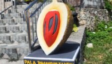 Ikon Selfie Buah Pala Tomandin di lingkungan kantor Dinas Perkebunan Fakfak, simbol kebanggaan daerah sekaligus penguat identitas Fakfak.