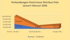 Penerimaan PAD komoditas pala di Kabupaten Fakfak sepanjang Februari 2026 tercatat mencapai Rp 98.970.000.