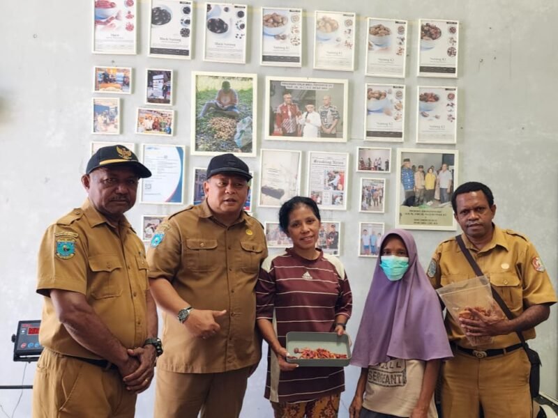 Kepala Dinas Perkebunan Fakfak Widhi Asmoro Jati mengunjungi salah seorang pengusaha pala. Harga fuli pala (bunga pala) varietas Tomandin kini menembus Rp250.000 per kilogram.