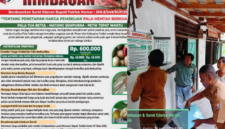Dinas Perkebunan Fakfak gencar pemasangan pamflet himbauan Surat Edaran Bupati Fakfak Nomor 500.8/249/BUP/2026 tentang Penetapan Harga Pembelian Pala Mentah di lokasi usaha para pelaku perdagangan pala.