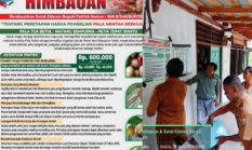 Pemkab Fakfak Gencarkan Sosialisasi Harga Pala, 72 Titik Usaha Dipasangi Pamflet Himbauan