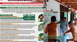 Dinas Perkebunan Fakfak gencar pemasangan pamflet himbauan Surat Edaran Bupati Fakfak Nomor 500.8/249/BUP/2026 tentang Penetapan Harga Pembelian Pala Mentah di lokasi usaha para pelaku perdagangan pala.