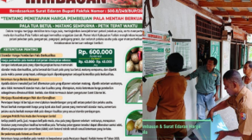Dinas Perkebunan Fakfak gencar pemasangan pamflet himbauan Surat Edaran Bupati Fakfak Nomor 500.8/249/BUP/2026 tentang Penetapan Harga Pembelian Pala Mentah di lokasi usaha para pelaku perdagangan pala.