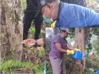 foto slider headline