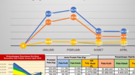 Penerimaan retribusi Pala hingga akhir April 2026 mencapai Rp248.465.700.