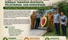 SK Bupati Fakfak Nomor 500.8-25 Tahun 2026: Pala Tomandin Ditetapkan sebagai Tanaman Budidaya, Pelestarian, dan Konservasi
