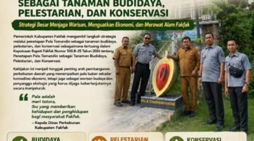 Keputusan Bupati Fakfak Nomor 500.8–25 Tahun 2026 tentang Penetapan Pala Tomandin sebagai Tanaman Budidaya, Pelestarian, dan Konservasi.