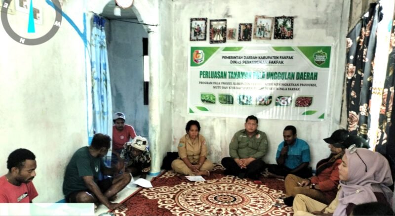 Sosialisasi program perluasan Pala Tomandin di Kampung Werba Raya.
