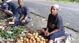 Kepala Distrik Kayauni, Jefri Hndom, SH., MM., turun langsung ke lapangan untuk memastikan proses panen.