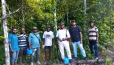 Pembinaan terhadap delapan Blok Penghasil Tinggi (BPT) yang telah ditetapkan sebagai sumber benih unggul pala.