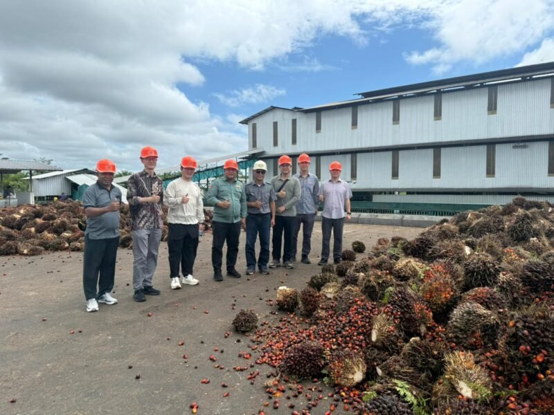 Observasi yang dilakukan Investor melalui PT. STM Agro Energi dan tim teknis dari ST International Corp dalam rencana pengembangan perkebunan kelapa sawit di kawasan Bomberay–Tomage.