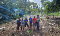 Lestarikan Pinang Endemik Fakfak, Dinas Perkebunan Tanam 1.600 Bibit di Kampung Kiat