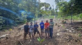 GERTAK (Gerakan Tanam Kebun Fakfak) dipimpin Imelda Hegemur menanam Sebanyak 1.600 bibit pinang pada lahan seluas satu hektare di Kampung Kiat.