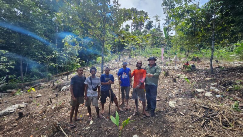 GERTAK (Gerakan Tanam Kebun Fakfak) dipimpin Imelda Hegemur menanam Sebanyak 1.600 bibit pinang pada lahan seluas satu hektare di Kampung Kiat.