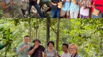 Pemilik Mom's Bakery Indonesia dan Greens And Beans (GnB), Fransisca Indriyana, bersama suaminya dan Direktur Global Bisnis asal Korea Selatan, Jinho Jeffry Shin, didampingi perwakilan Global Green Growth Institute (GGGI), Trianita Hesti, melakukan kunjungan ke Kabupaten Fakfak untuk melihat Pala Tomandin. 