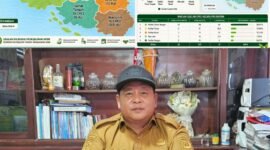Program Peremajaan Tanaman Kelapa seluas 75 hektare.