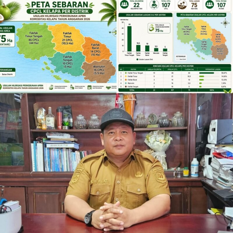 Program Peremajaan Tanaman Kelapa seluas 75 hektare.