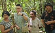 Pala dan Pohon Pogah: Warisan Alam Fakfak yang Mendunia, Siap Menembus Pasar Global